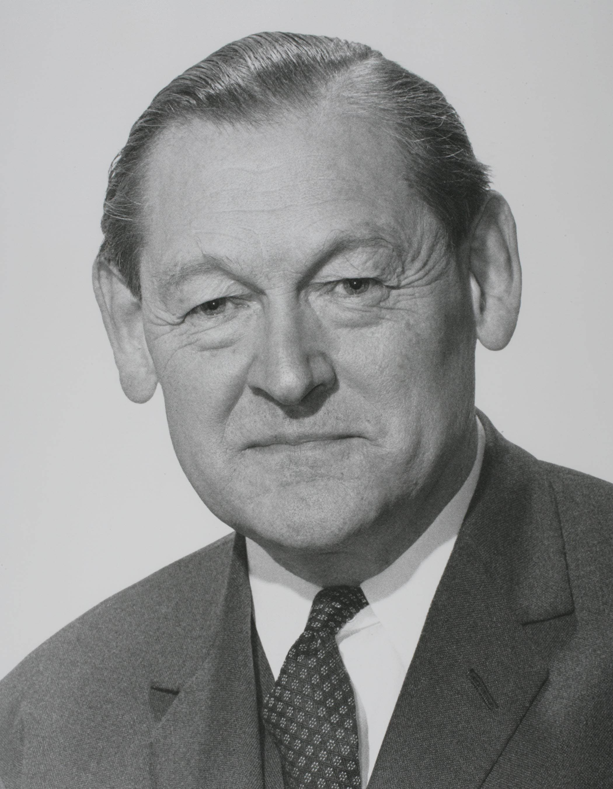Portrait of Sir Martin Furnival Jones
